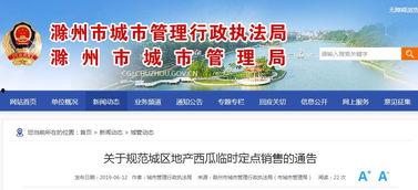 吃瓜群众群公告,揭秘群内热点事件与趣味话题